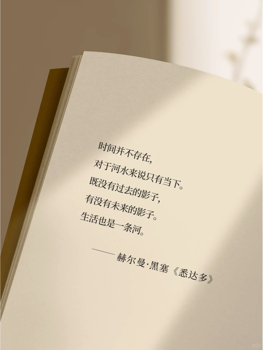 《悉达多》真的把人生说的太通透了！