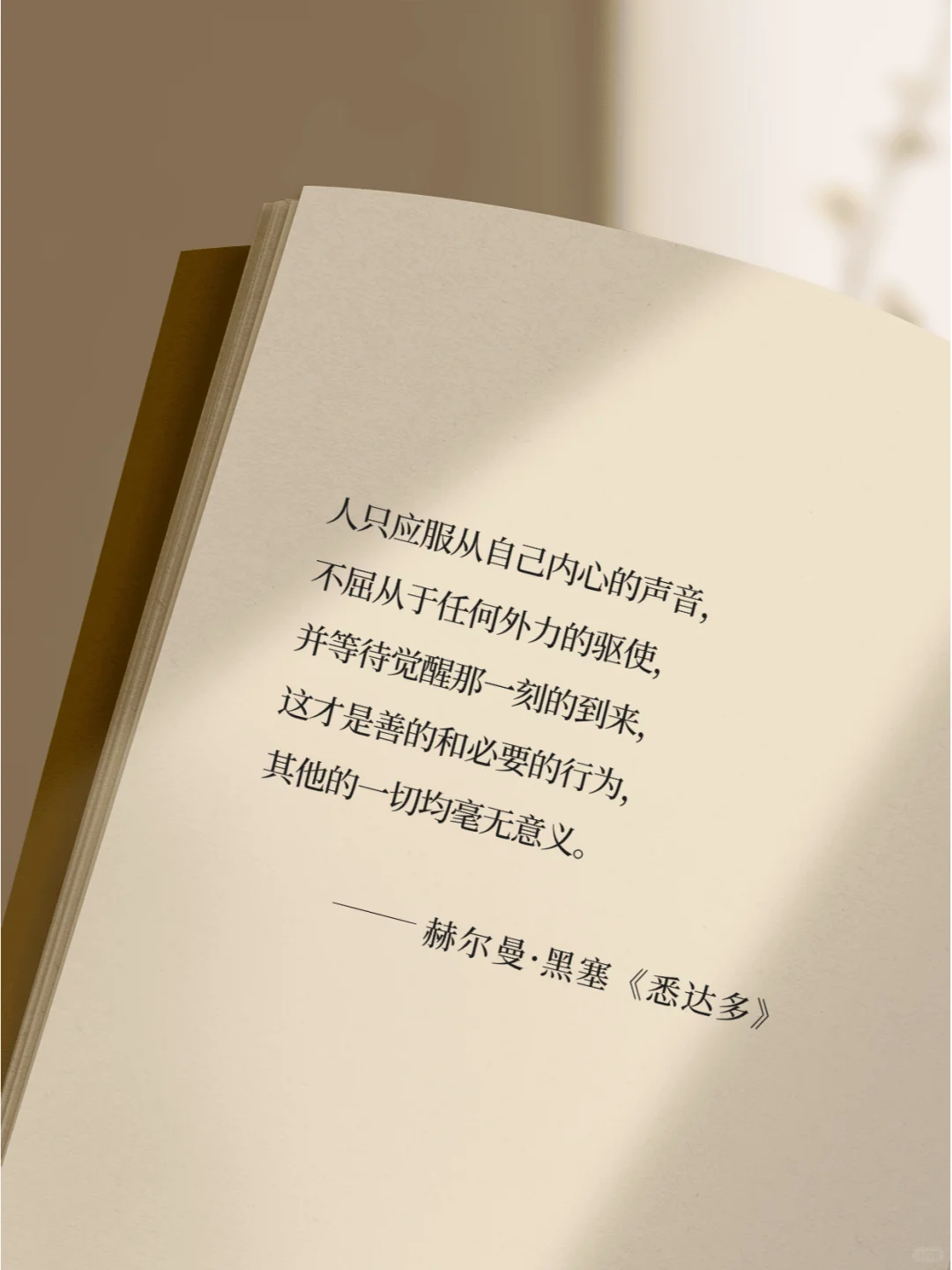 《悉达多》真的把人生说的太通透了！