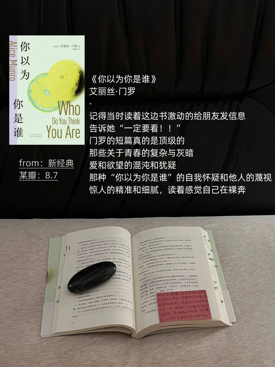 我的2024年度书单（们