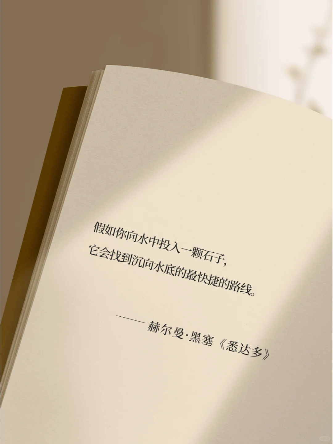 《悉达多》真的把人生说的太通透了！