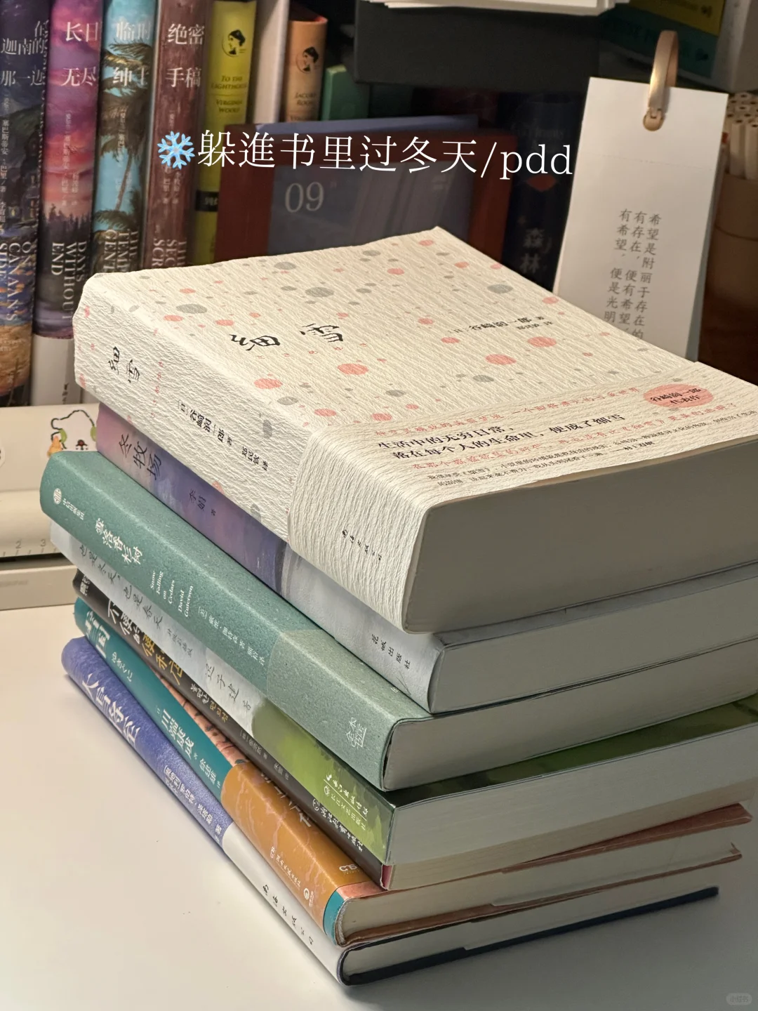 攒了很久的冬日氛围感书单！每一本都好爱