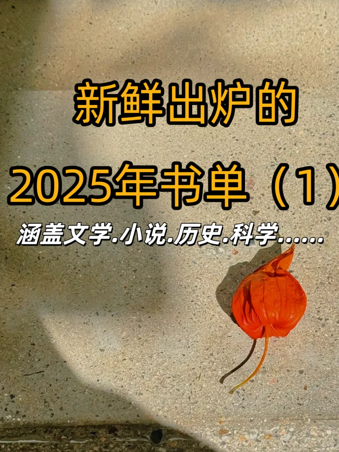 新鲜出炉的2025年书单📖