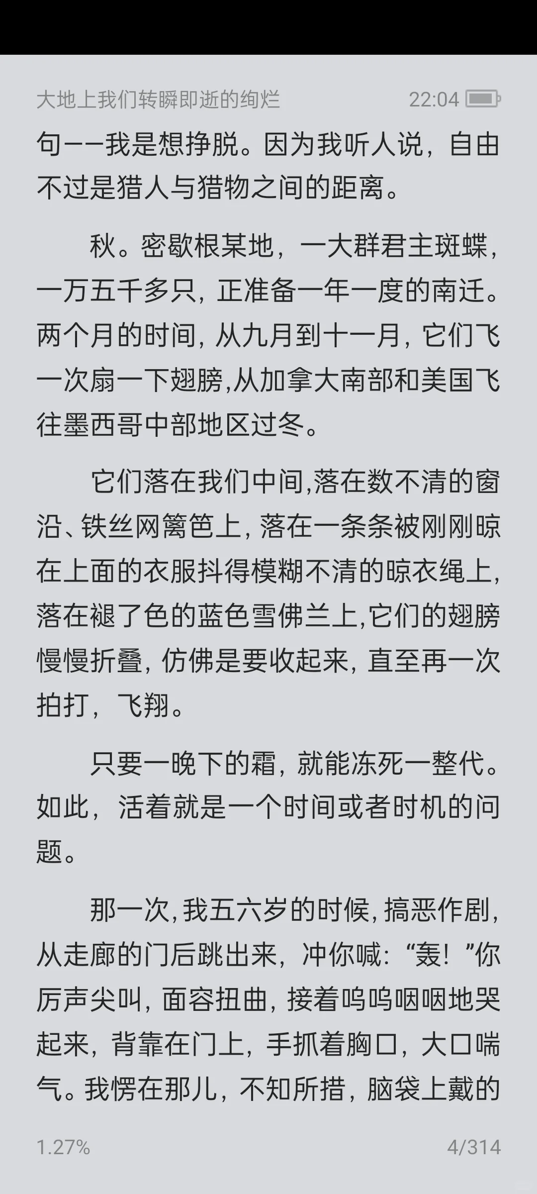 《大地上我们转瞬即逝的绚烂》