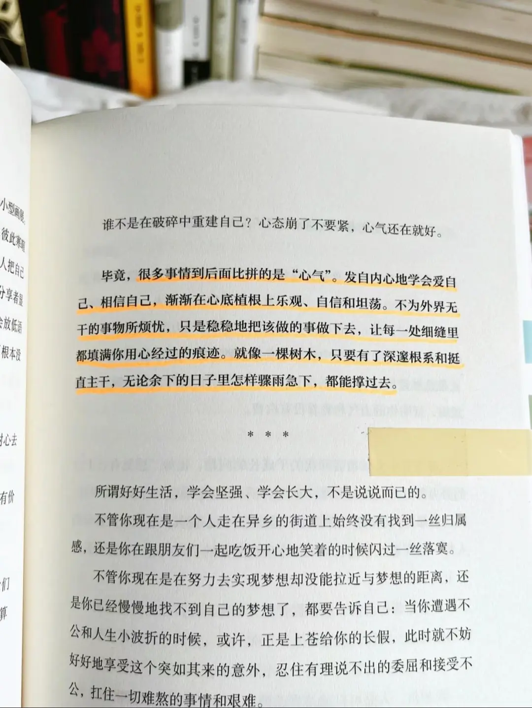 最近被这本书治愈到了!我真的太太太爱了。