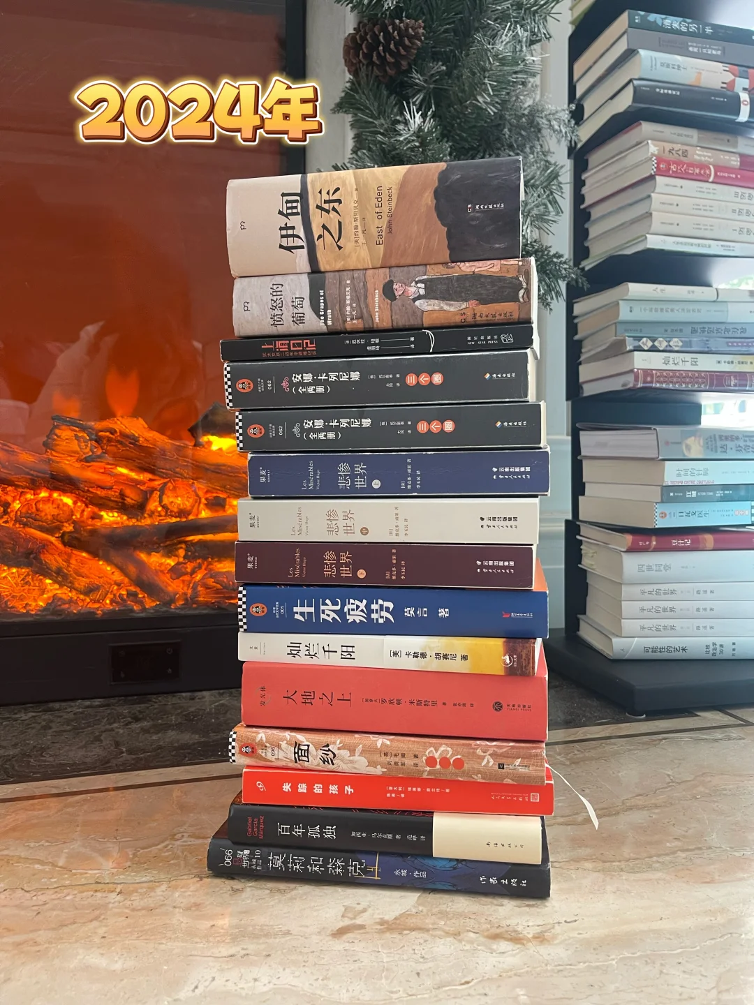 2024年看过的几本书