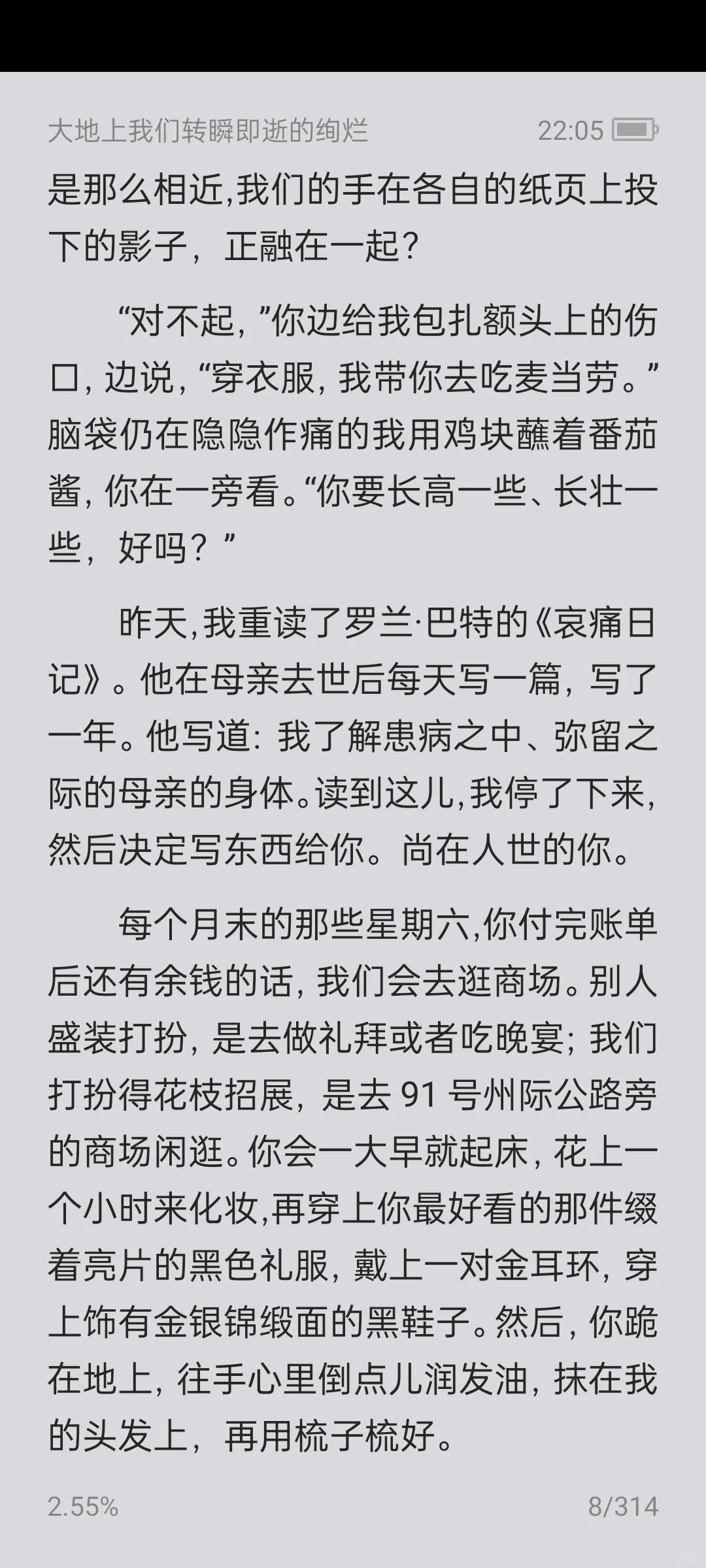 《大地上我们转瞬即逝的绚烂》