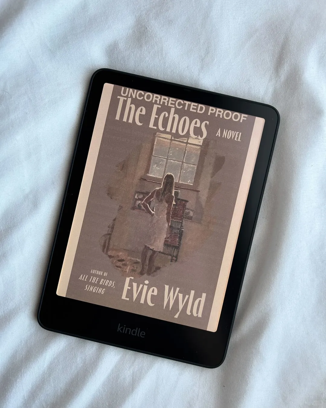 亚马逊 Kindle Colorsoft 屏幕显示质量堪忧