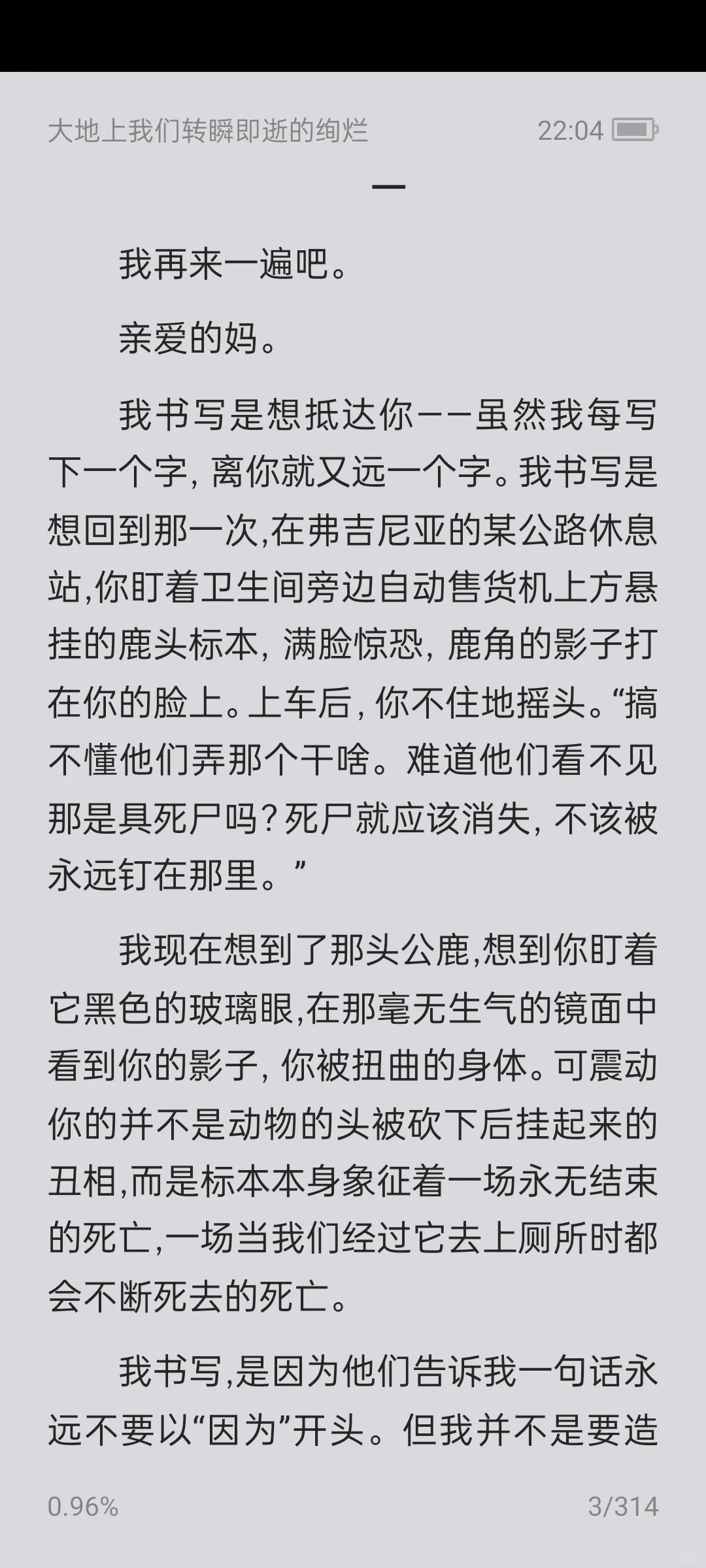 《大地上我们转瞬即逝的绚烂》