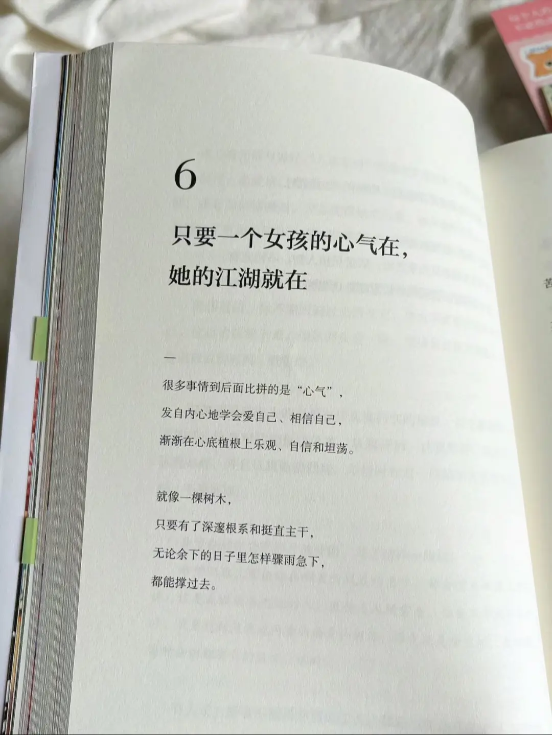 最近被这本书治愈到了!我真的太太太爱了。