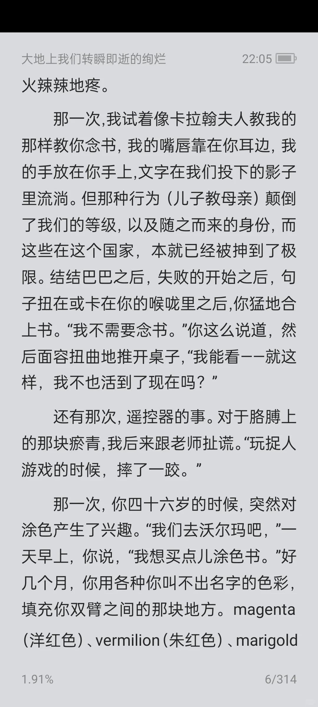 《大地上我们转瞬即逝的绚烂》