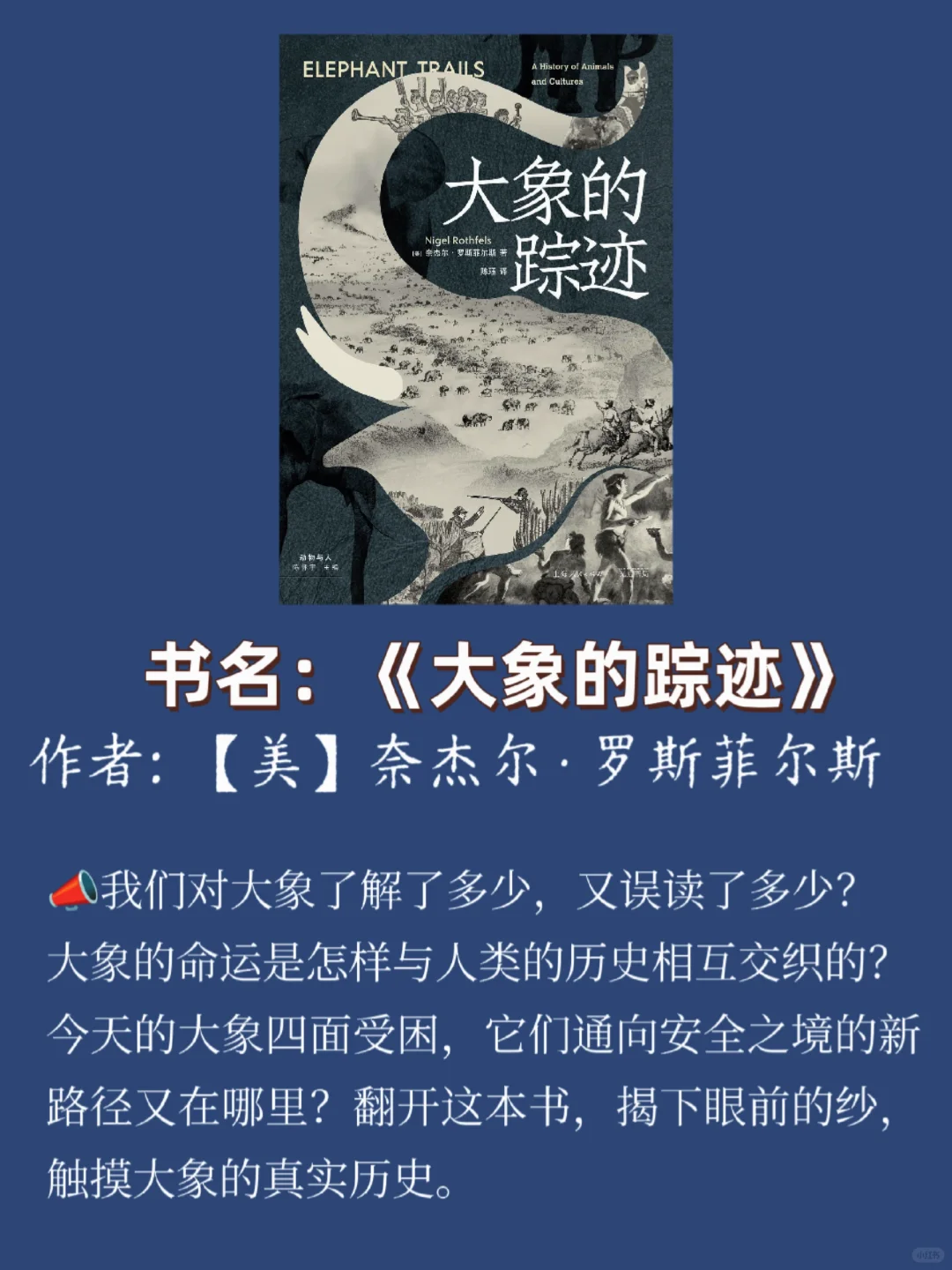 2025年1月新鲜出炉的书单📚❗快来围观❗