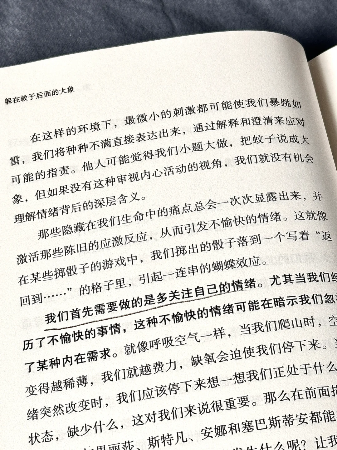 治愈到爆啊啊啊✨这本书像光一样救赎了我！！