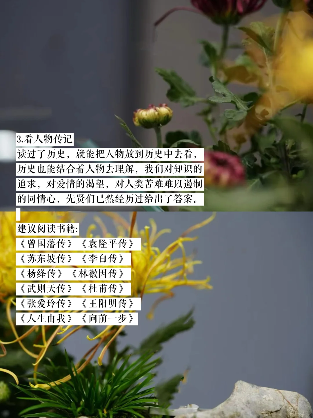 经常看书与不看书 差别到底有多大？🔥