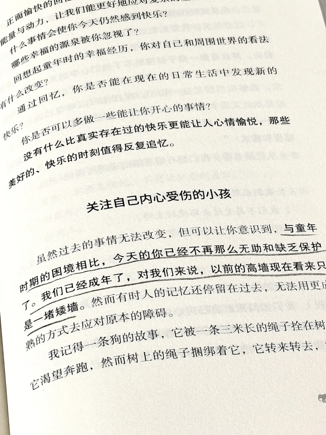 治愈到爆啊啊啊✨这本书像光一样救赎了我！！