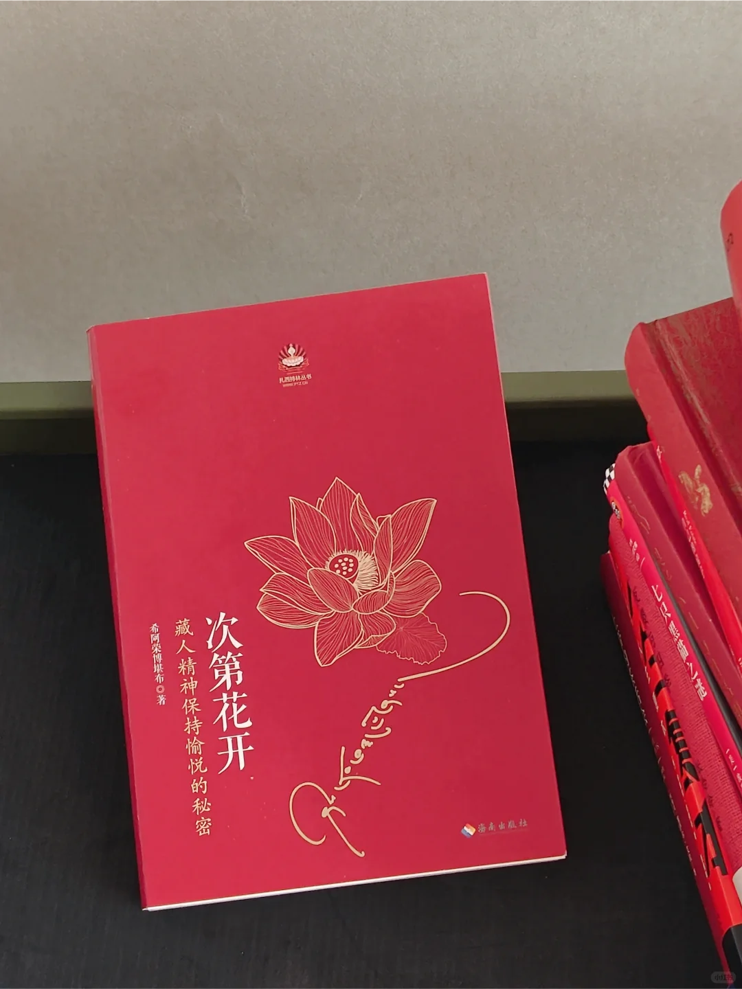 春节书单丨我真的有好多小红书啊