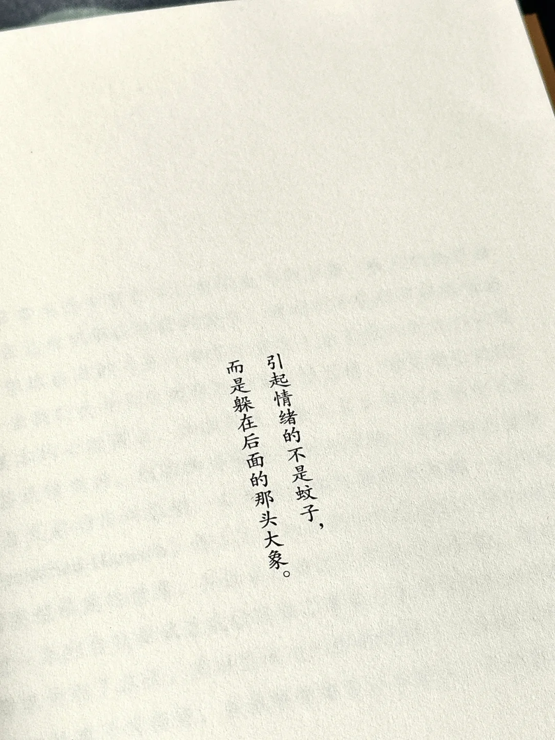 治愈到爆啊啊啊✨这本书像光一样救赎了我！！