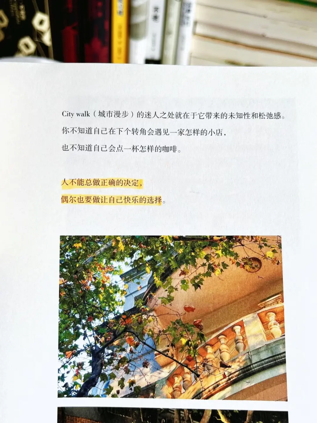 最近被这本书治愈到了!我真的太太太爱了。