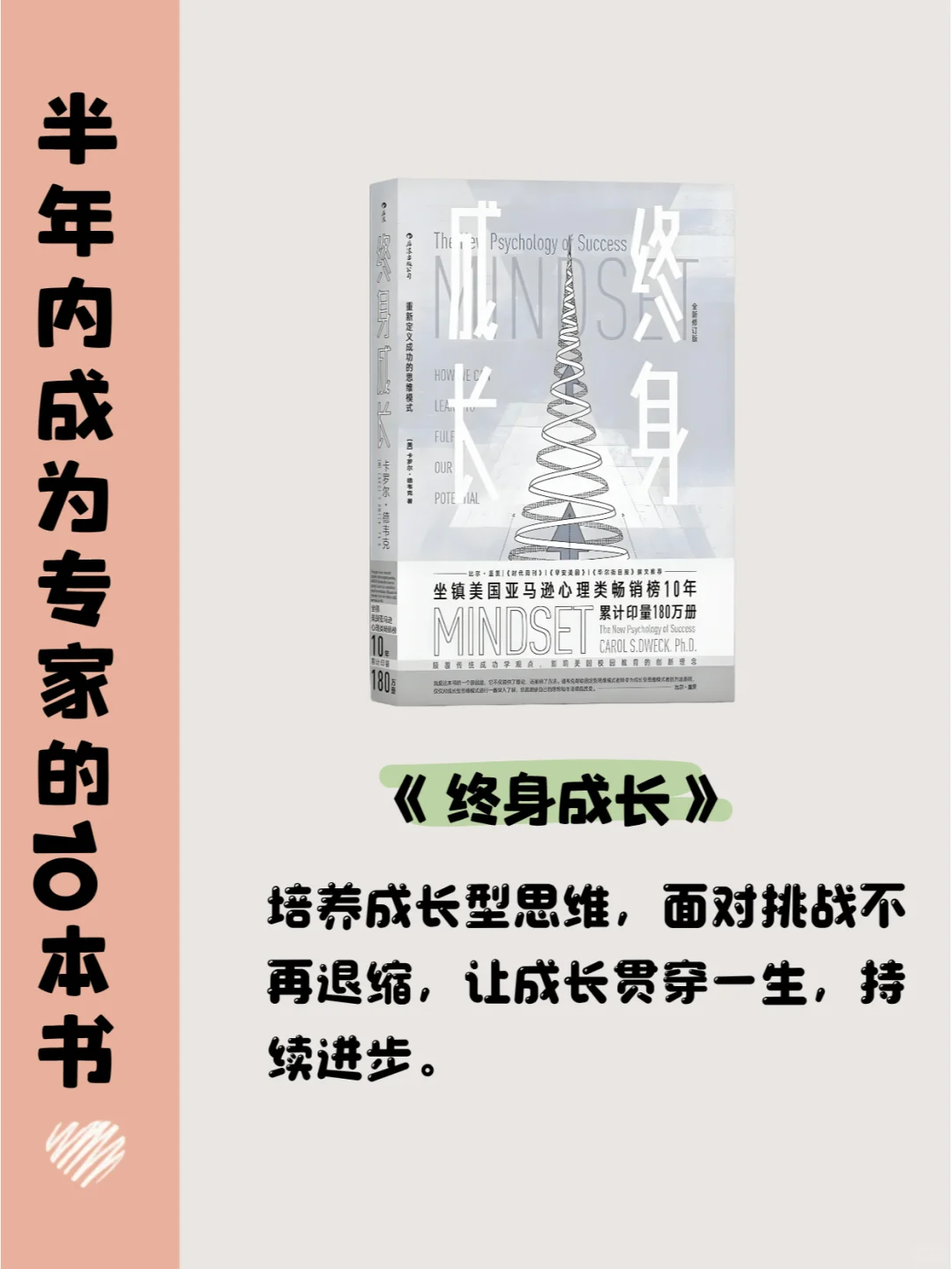 半年内成为专家的10本书