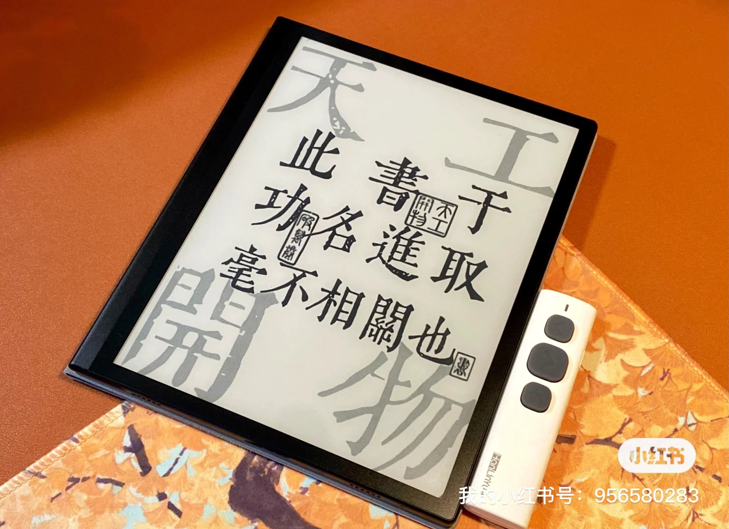今日得闲且读书
