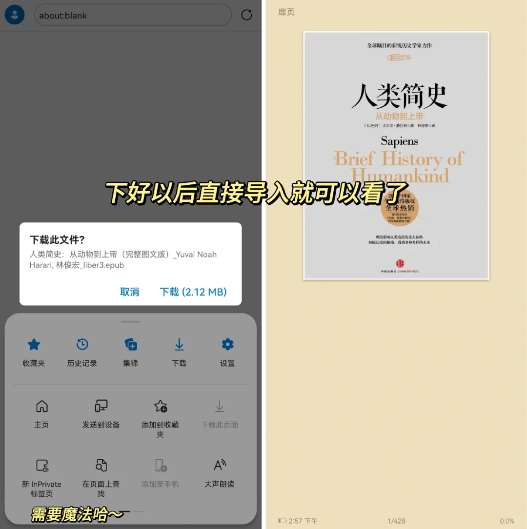 🐮堪比Zlibrary，又可以电子书自由啦！