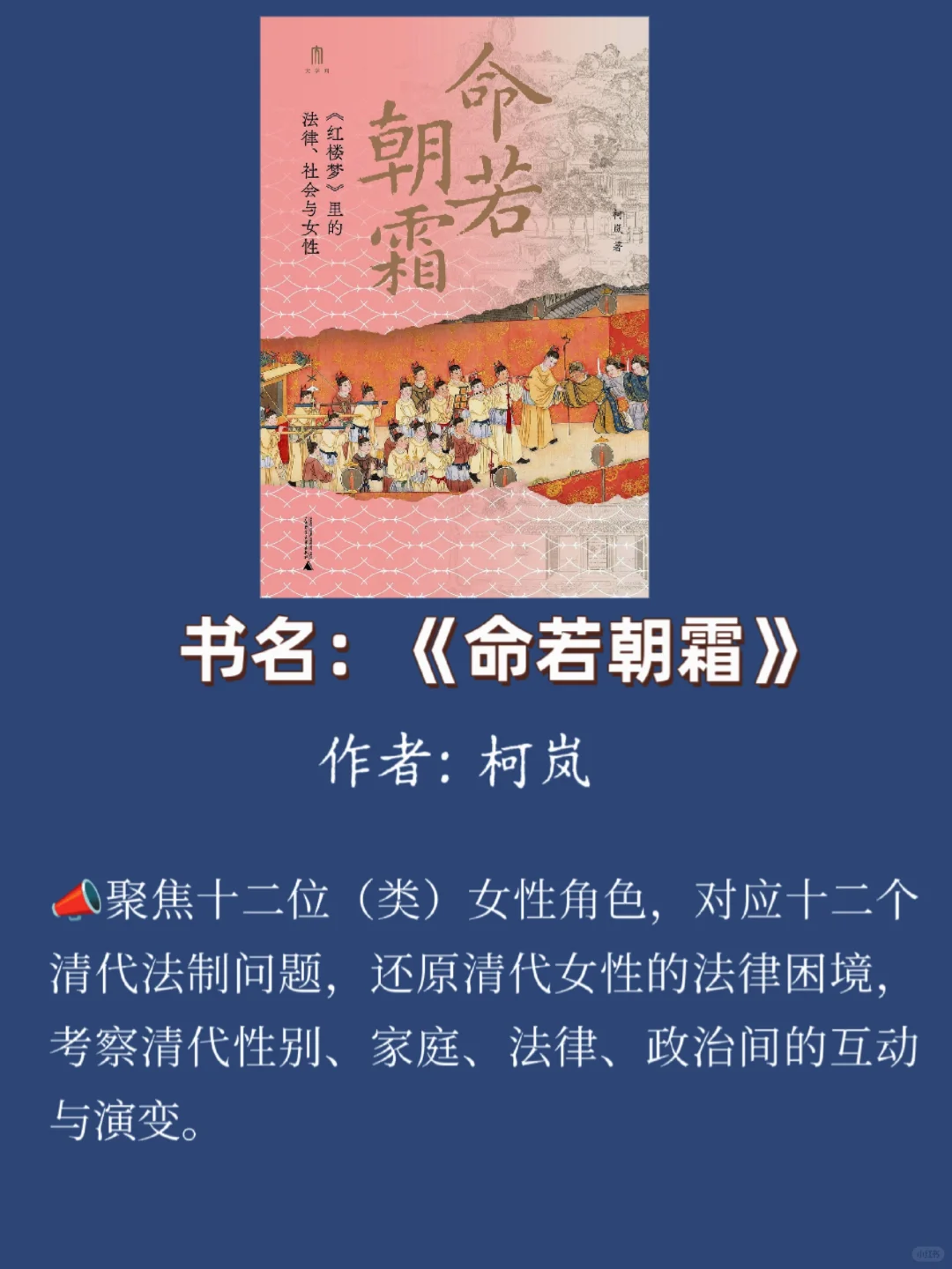 2025年1月新鲜出炉的书单📚❗快来围观❗
