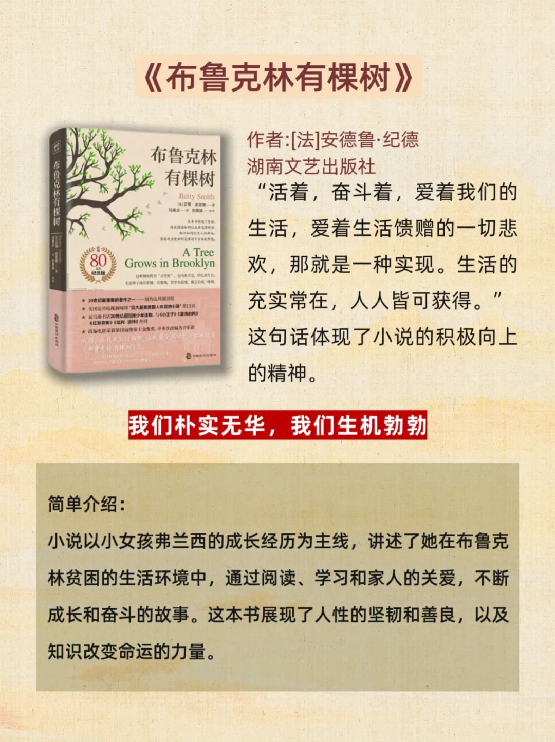 📖6 本巨好看小说，专治不爱看书！💥
