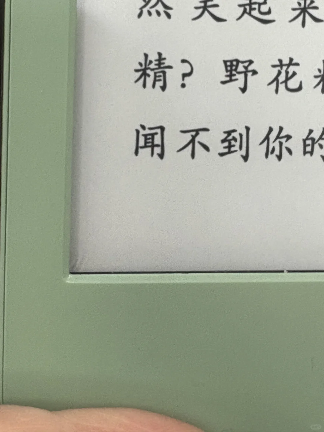 新伙计要到了，慢➗微瑕小绿😇