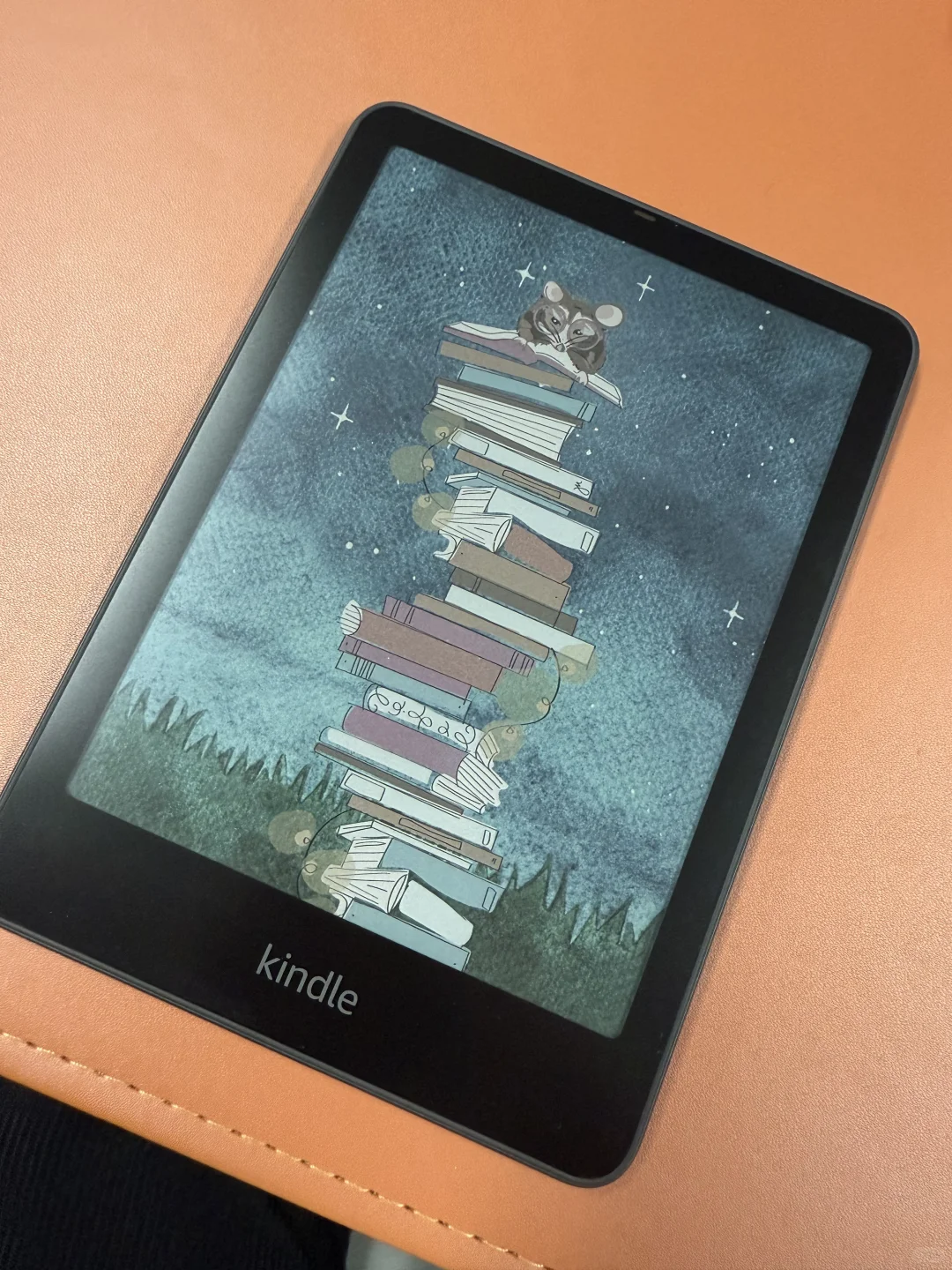 一言难尽的Kindle colorsoft