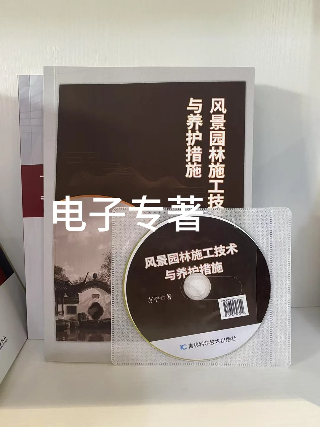 什么情况下用电子书号出书？