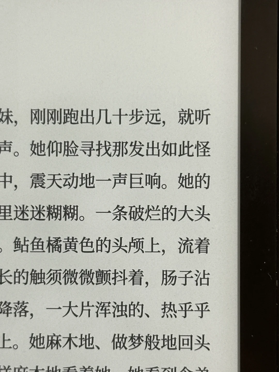 讯飞电子书用了4个月