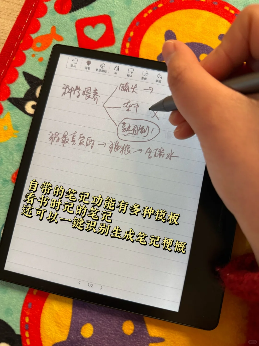 有这样的小家完全不想出门