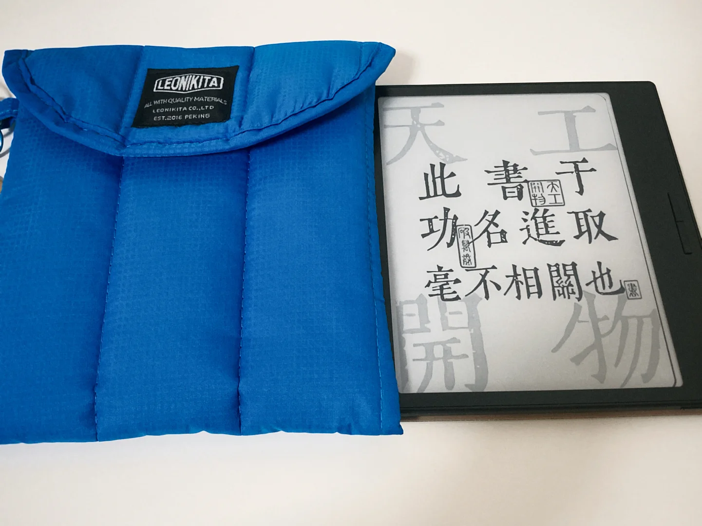 阅读器双重防护