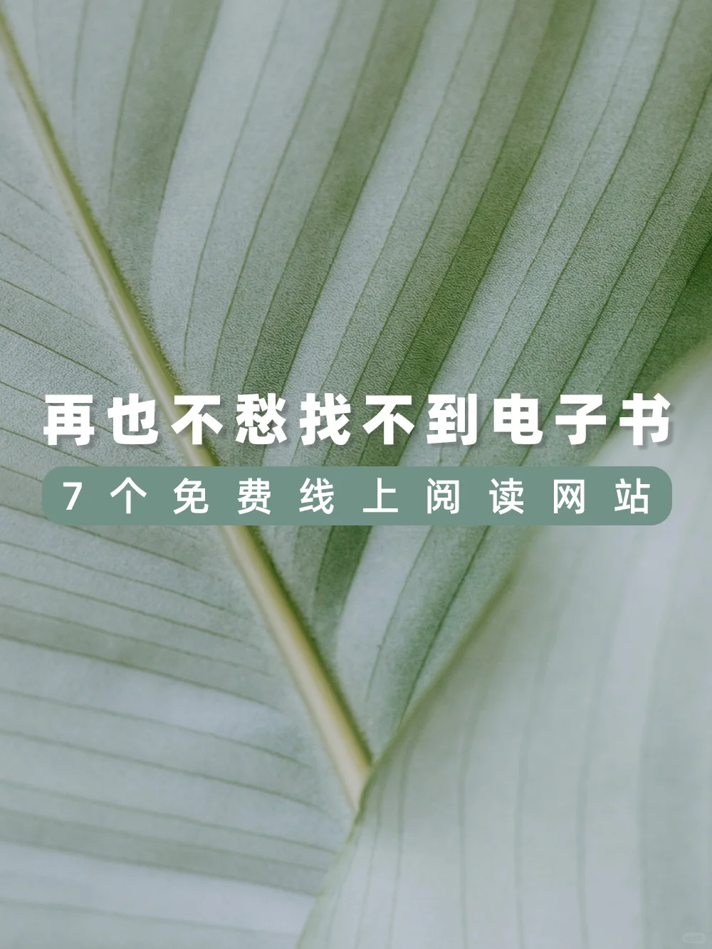 7个免费线上阅读网站！找电子书再也不愁了