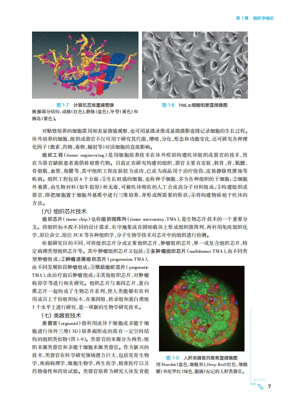 医学生福利-组织学与胚胎学 电子书 PDF