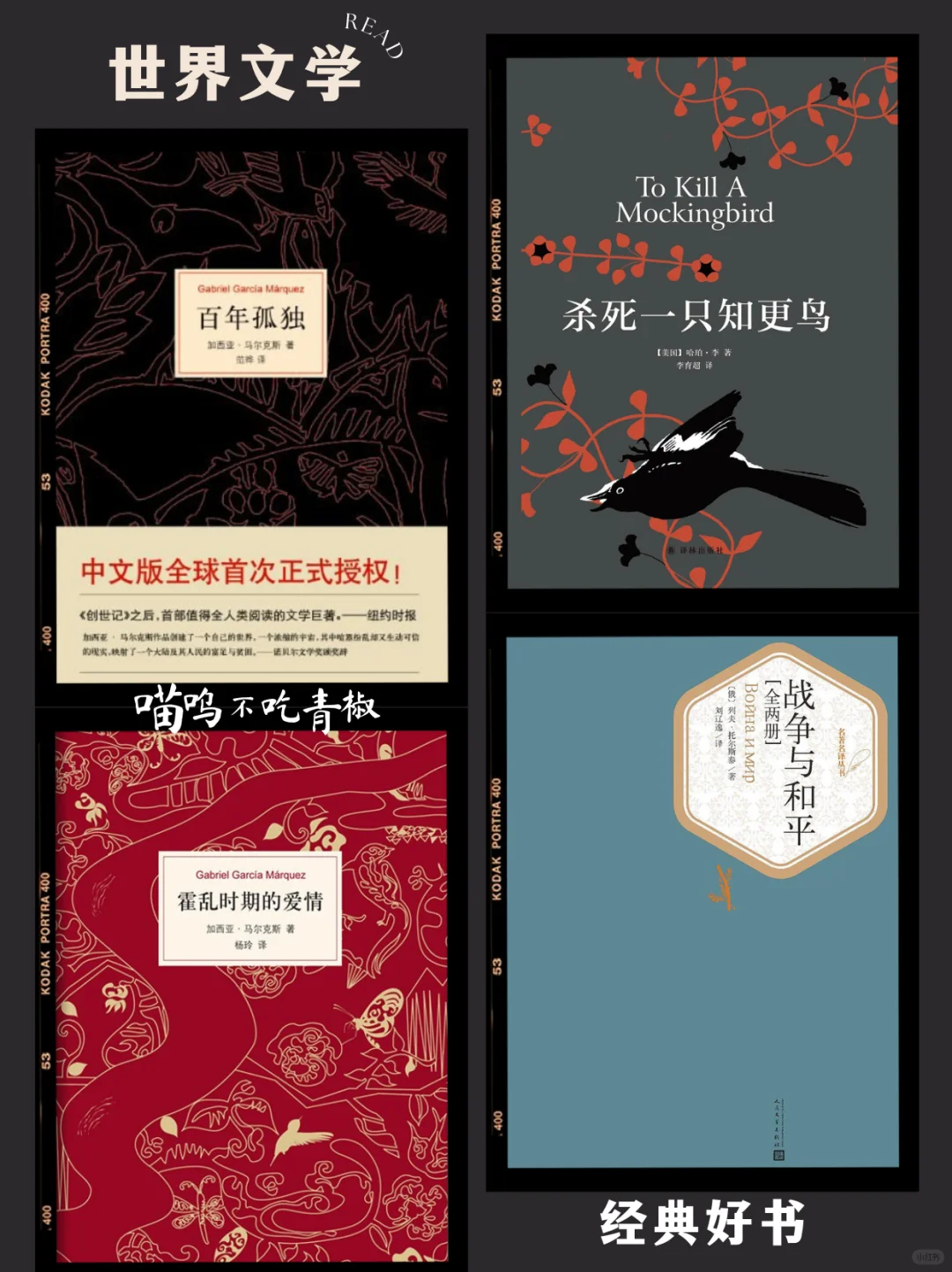 2025书单🔥 读完这48本书✅ 脑子真的会变快