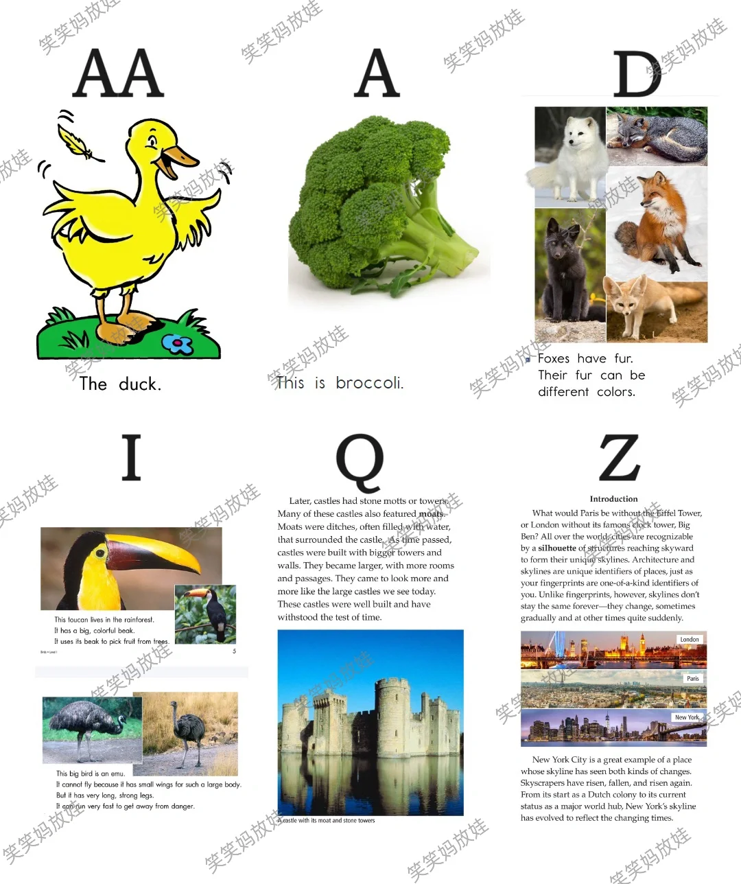 RAZ英语分级阅读全套资源（🆓分享）