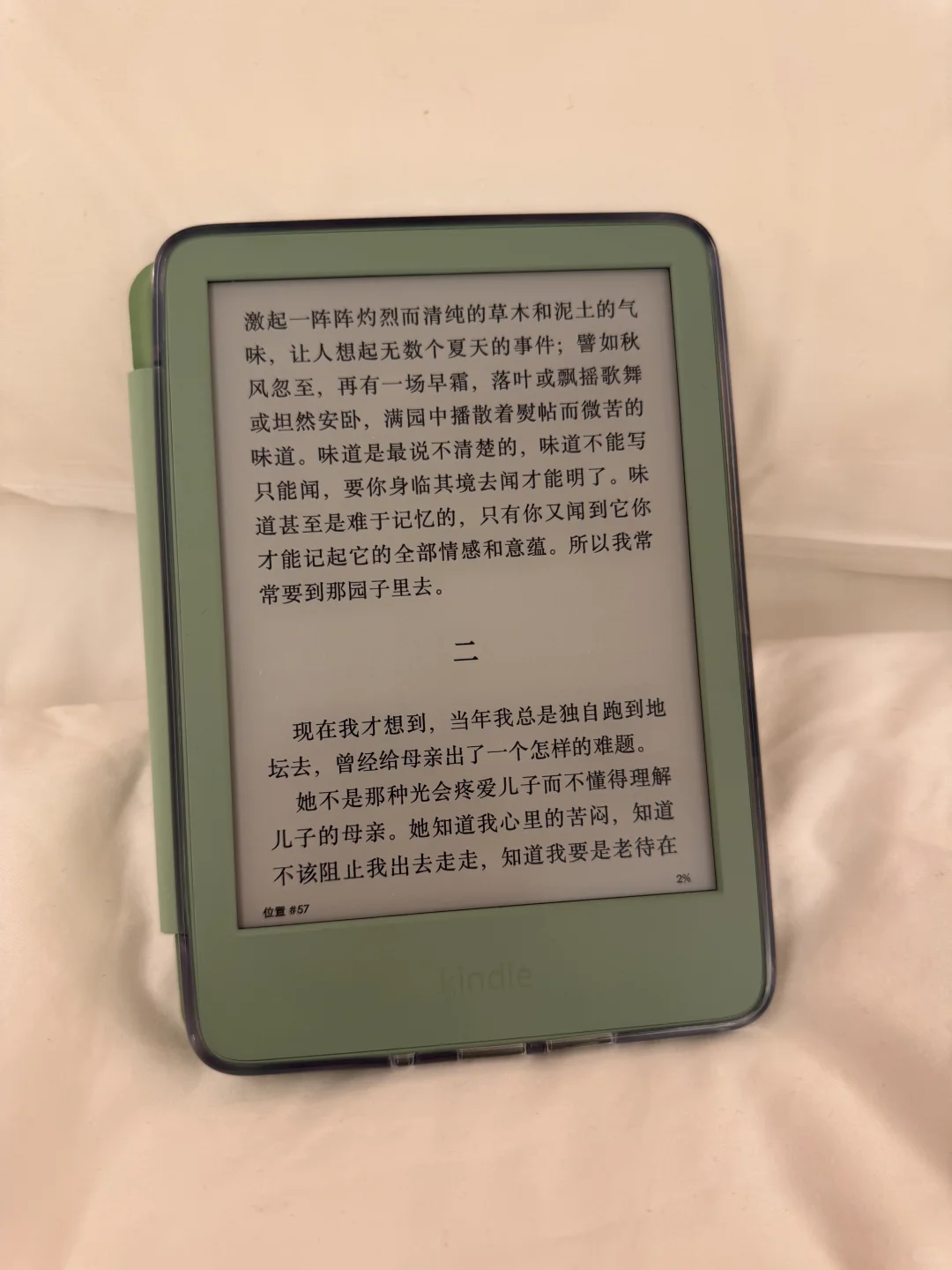 奖励自己的礼物 Kindle小绿