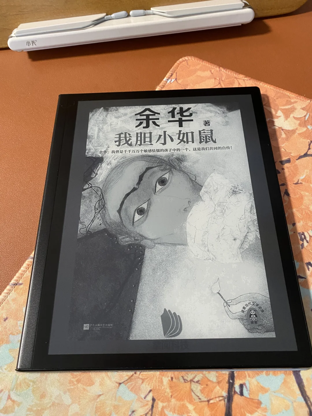 掌阅iReader的暗黑模式可谓是独步天下