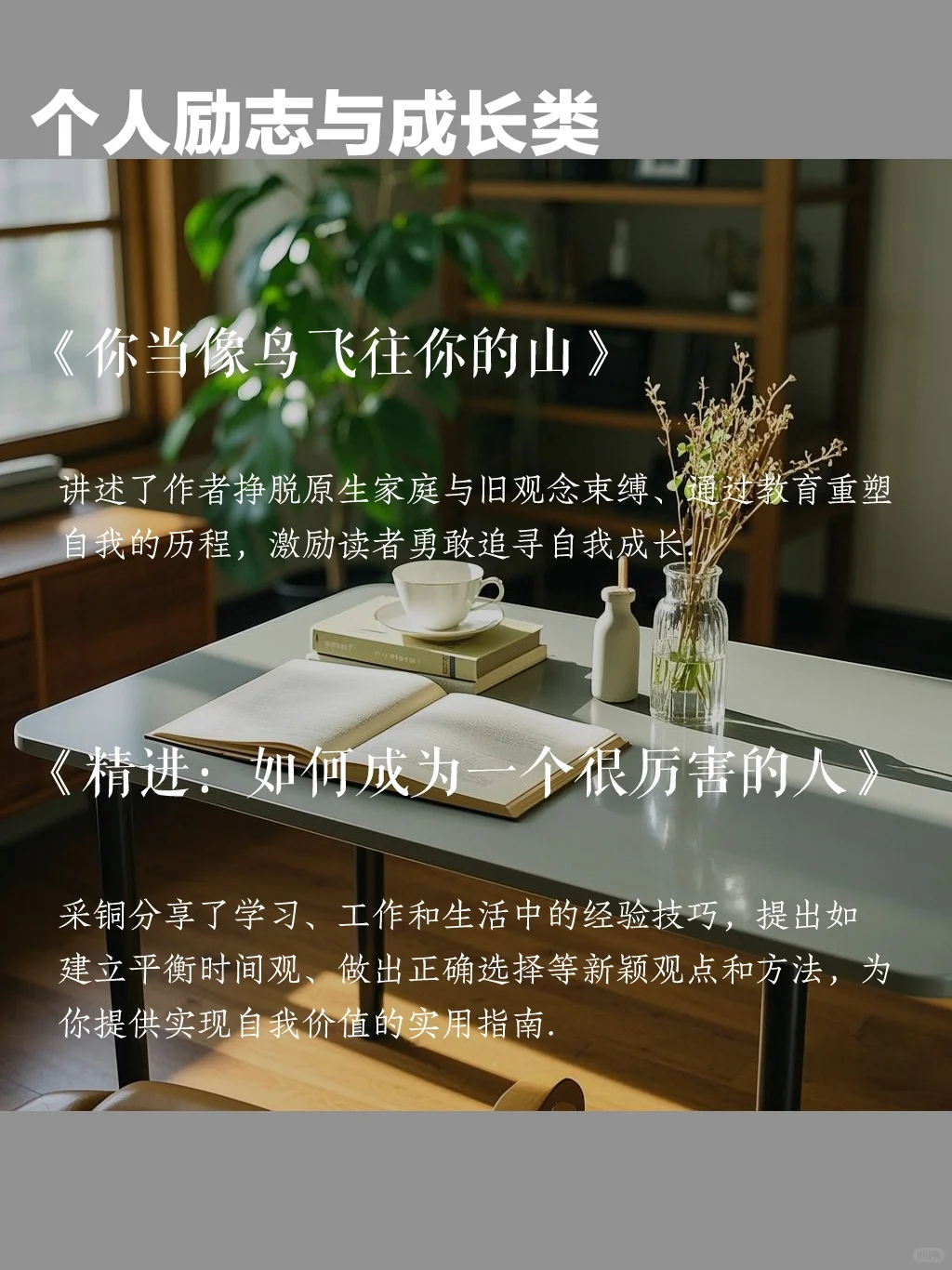 爆款书单推荐