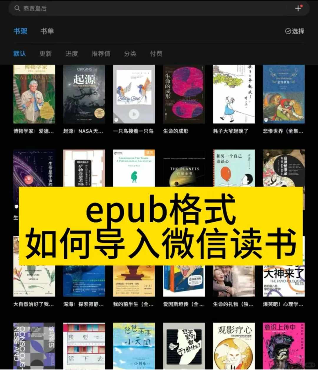 epub格式如何导入微信读书