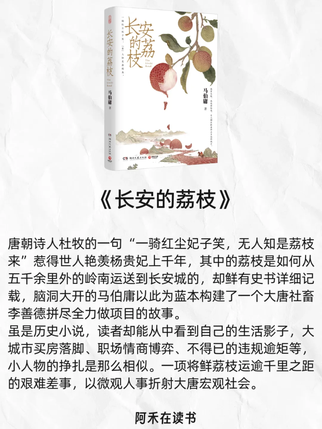 2025年必读的8本书🔥收藏起来慢慢看❗️