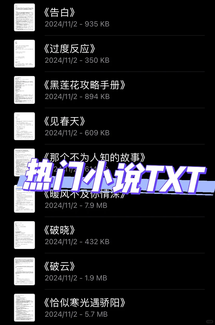 小说TXT下载