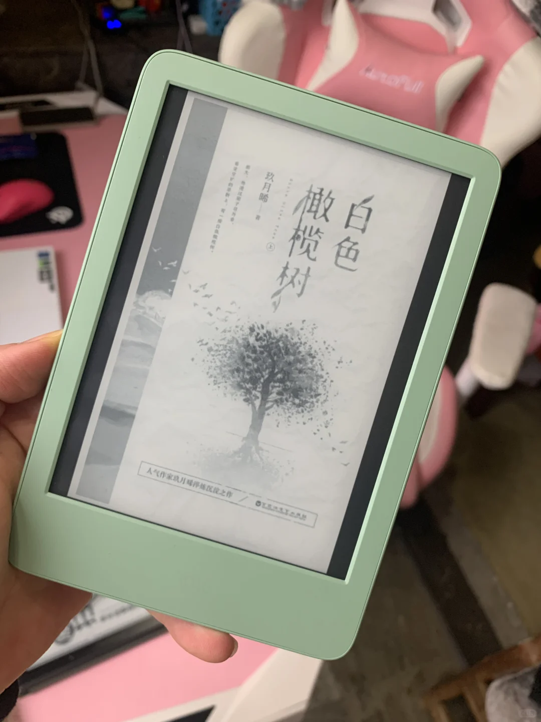 是谁拥有了kindle小粉🩷和小绿💚 是我呀！