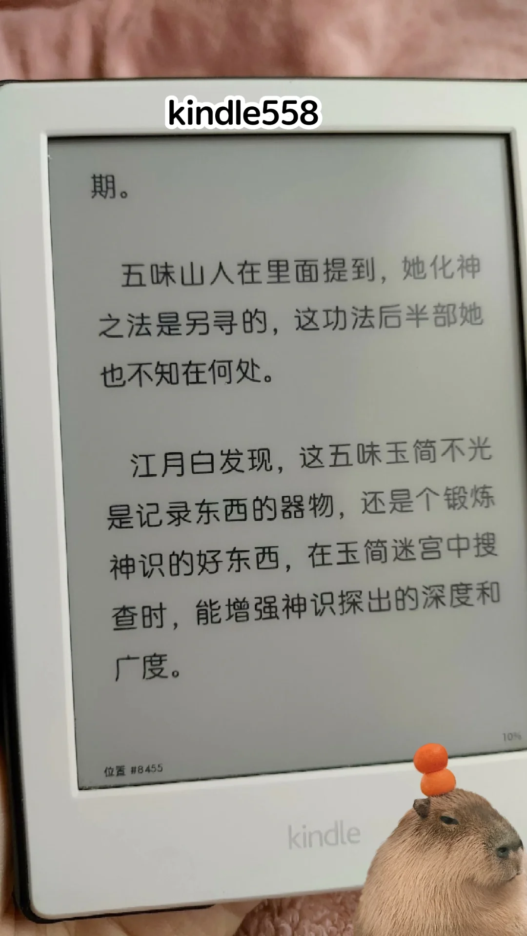 拥有过的墨水屏留念 碎碎念