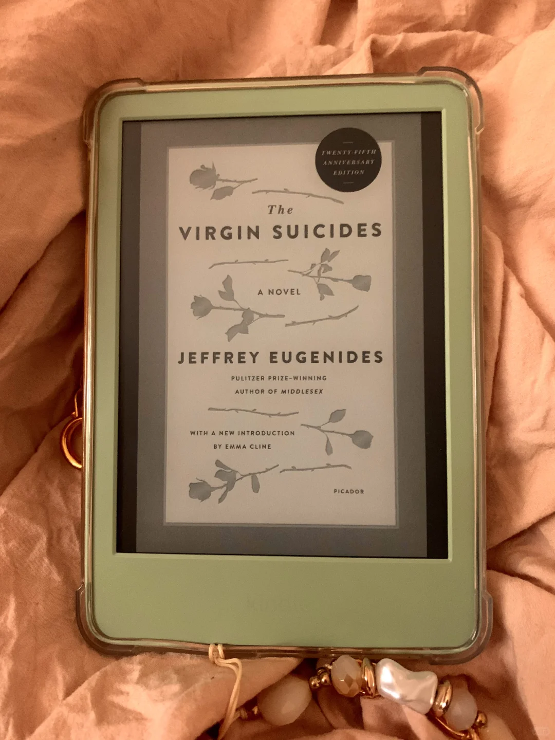 💐 Kindle 阅读 / kindle reading 🍁