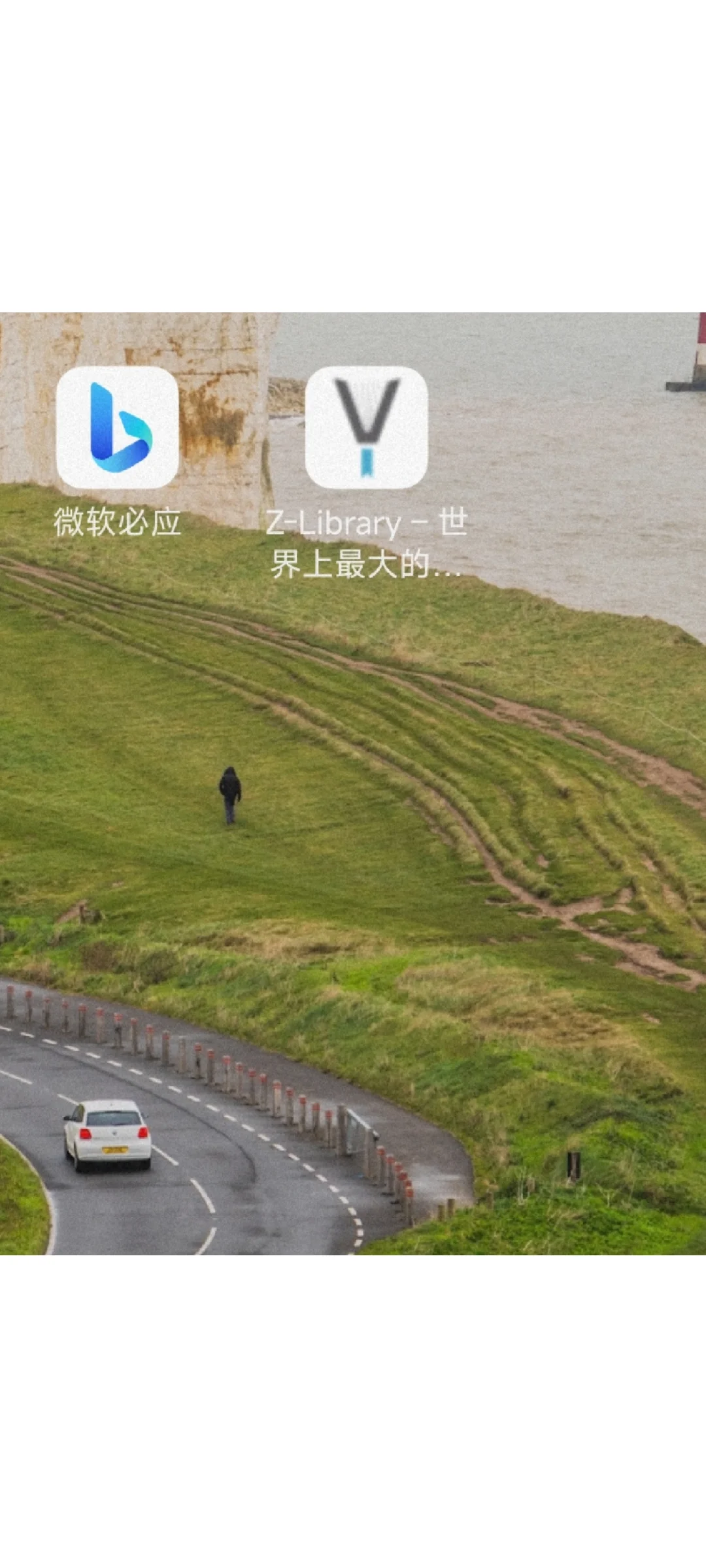 终于打开了zlibrary！还在主界面打开！