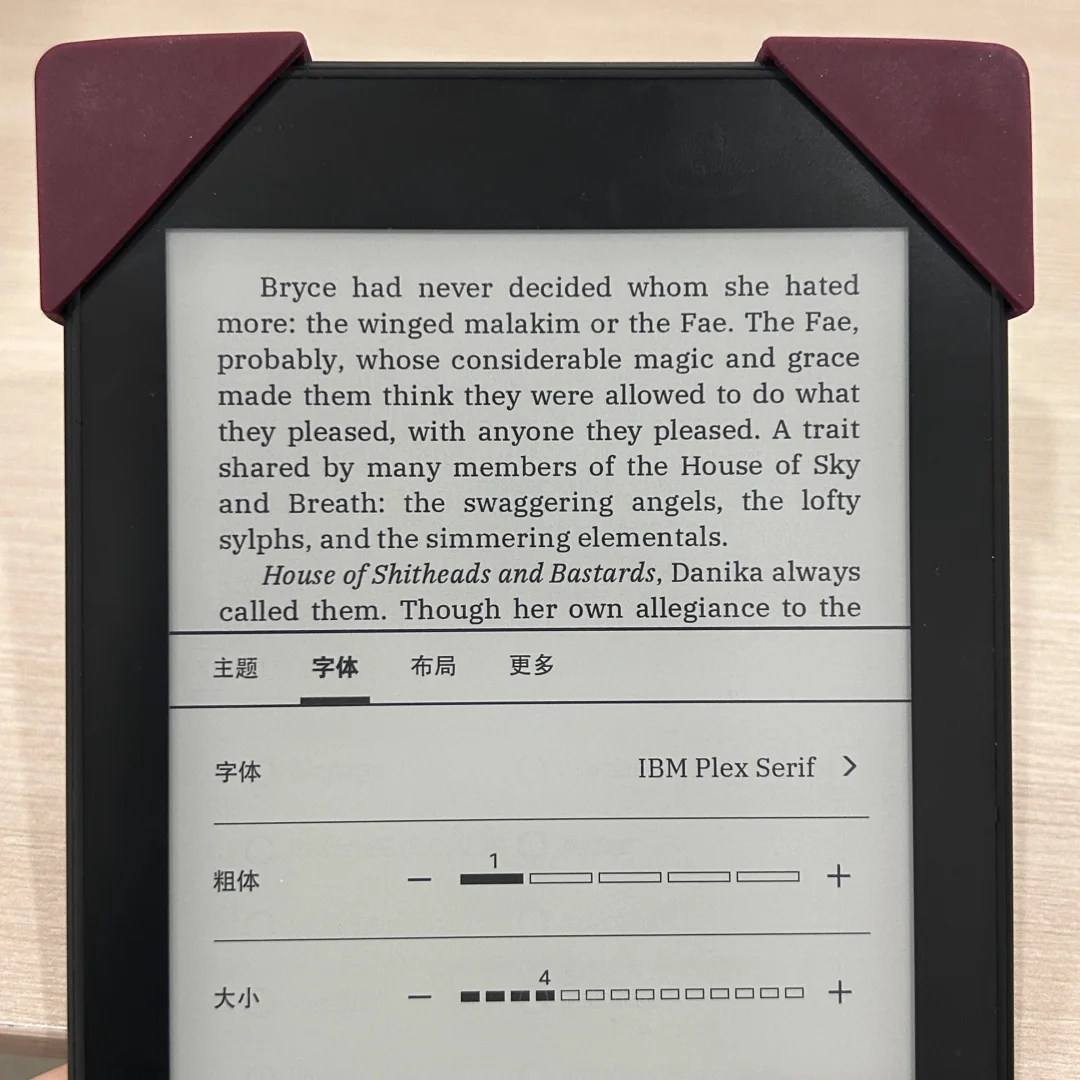 Kindle英文字体