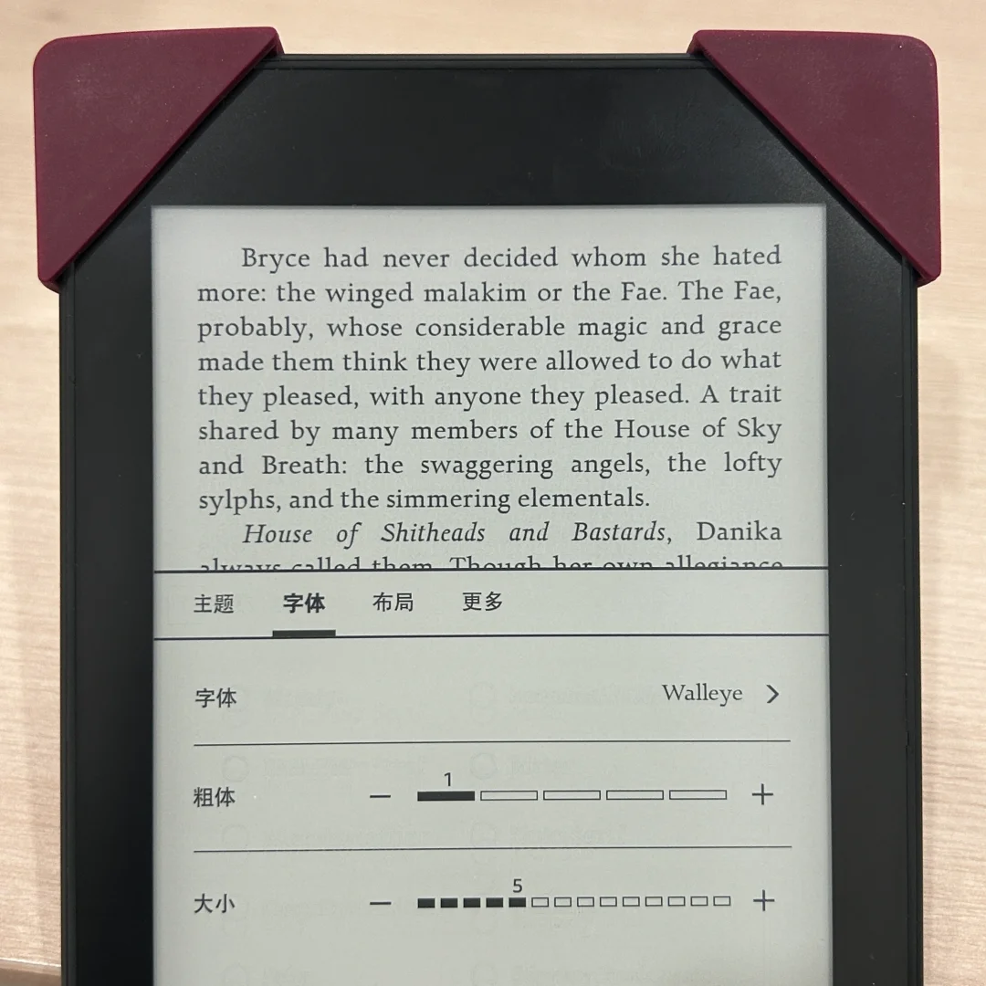 Kindle英文字体