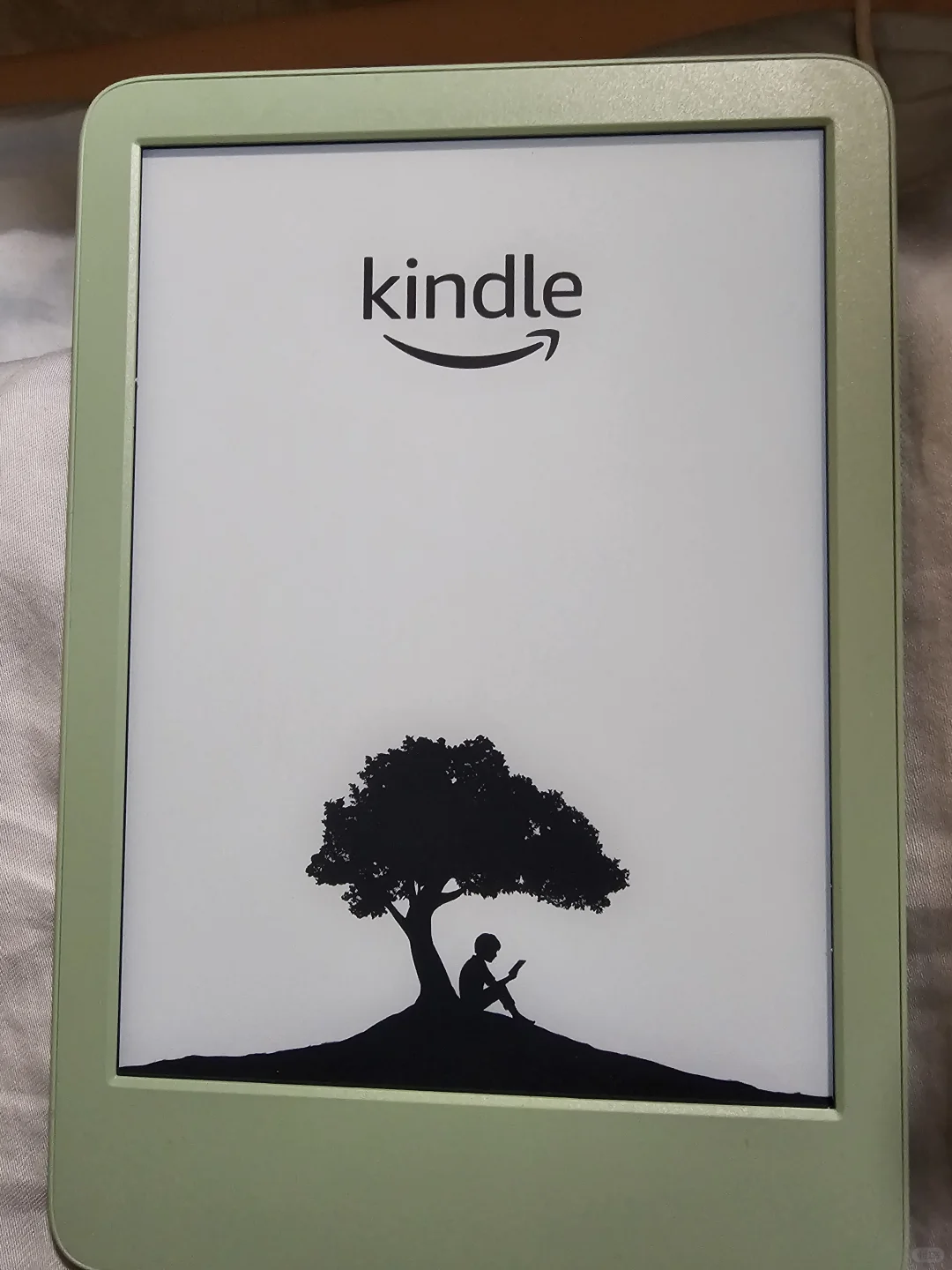 kindle2024小绿翻车
