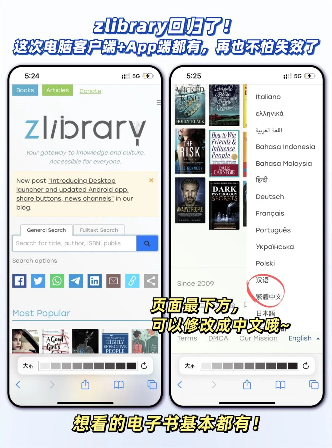 Zlibrary回来了～记住这个快捷使用教程！